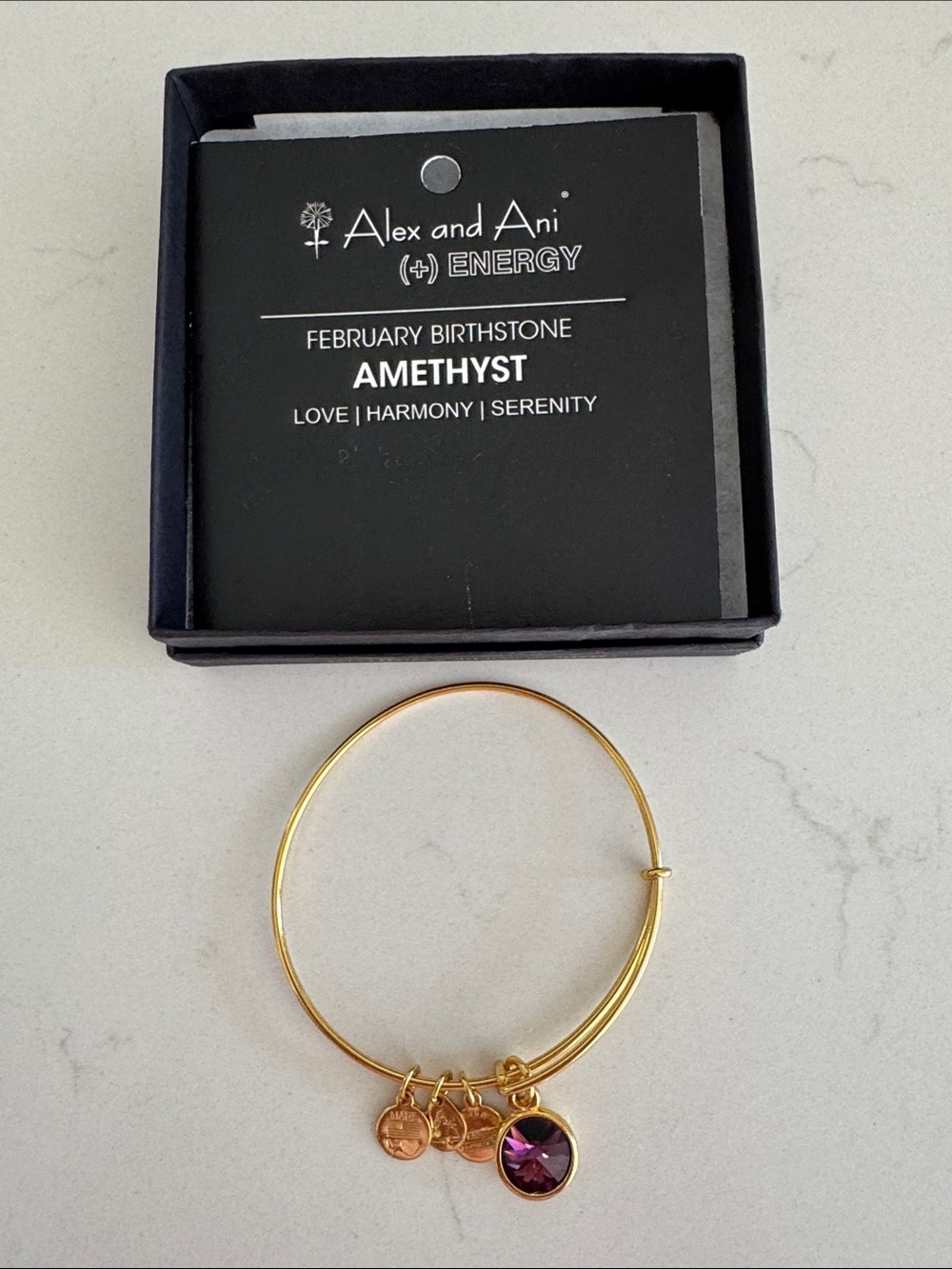 Alex and Ani Gold Amethyst Charm Bangle